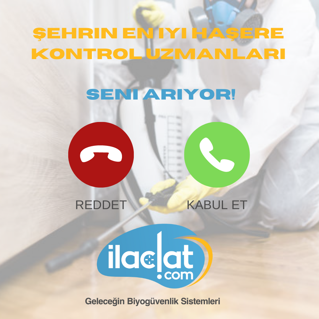 Uzmanlarla Telefonla İletişime Geçmek