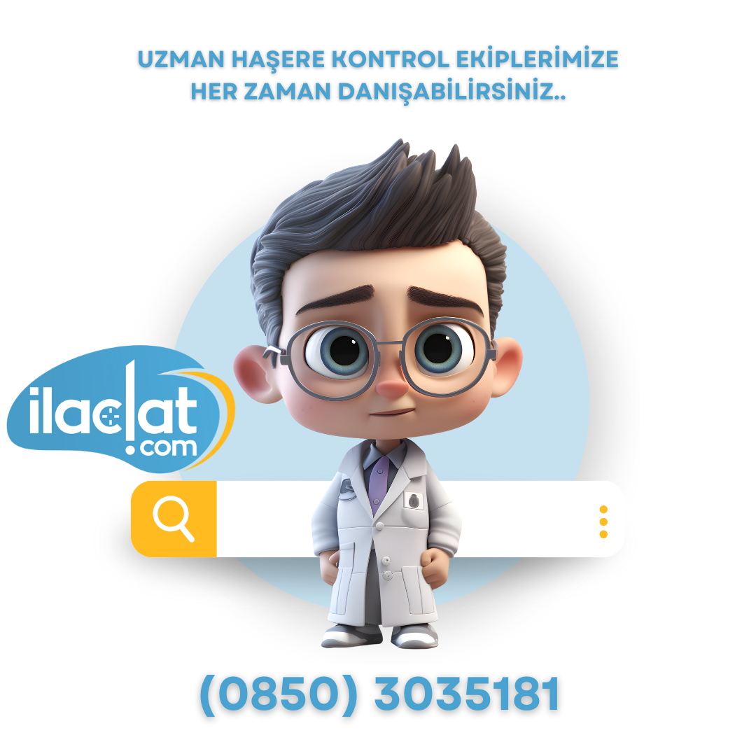 Uzman Haşere Kontrol Ekipleri