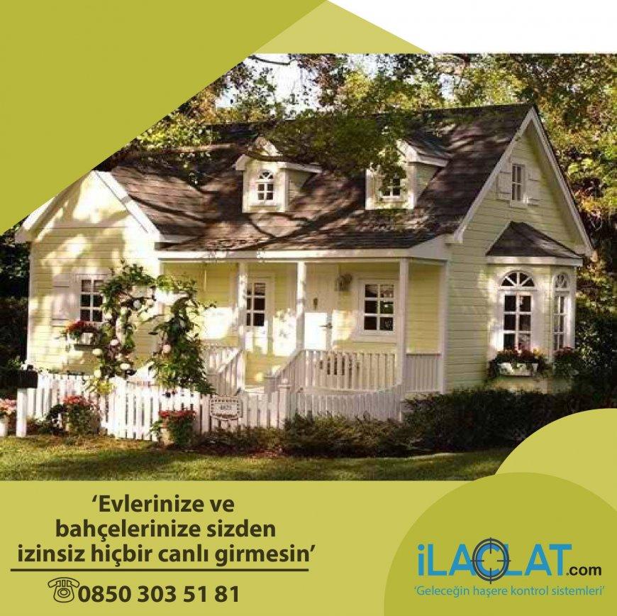 Kalorifer Böceği İle Mücadele