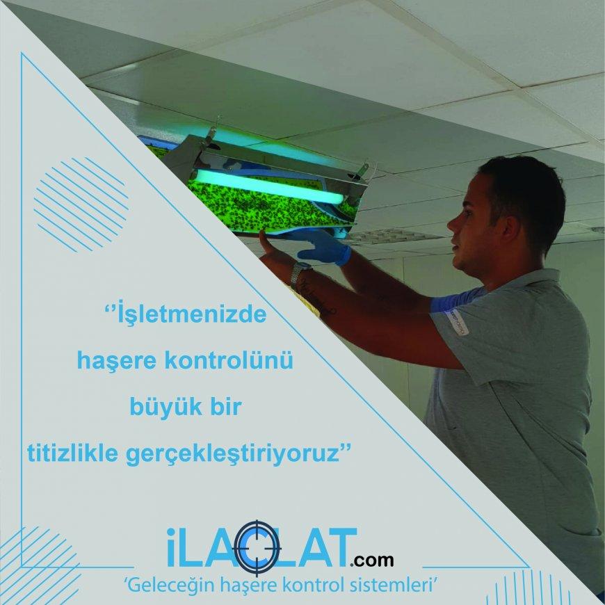 Kalorifer Böceği İle Mücadele