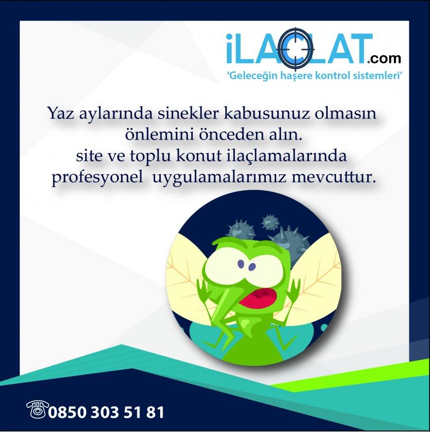 Alman Hamam Böceği