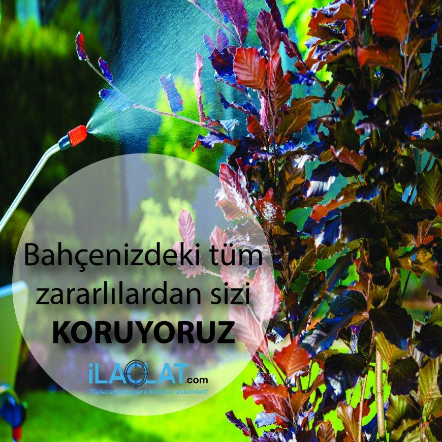 Ankara İlaçlama