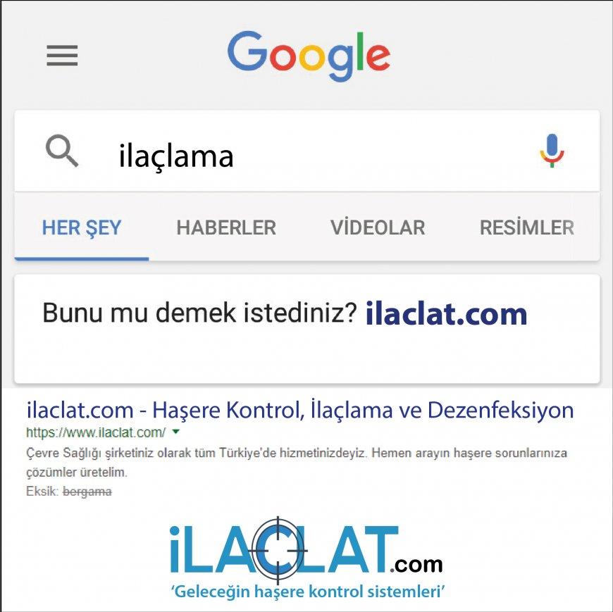 Böcek Ve Haşeresiz Bir Hayat