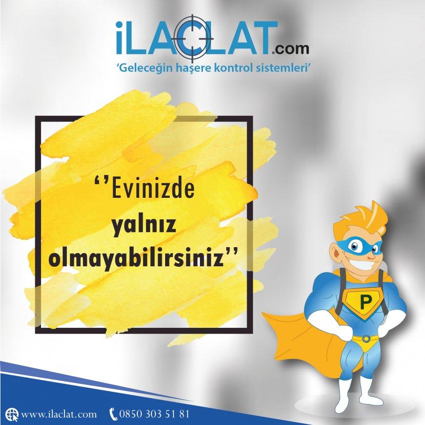 Böcek İlaçlamanın Yöntemleri