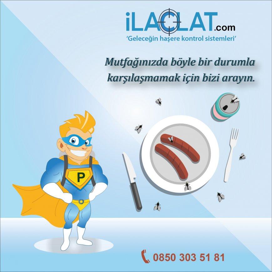 Yaşam Alanlarımızda Böcekler