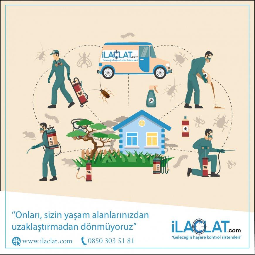 Zehirli Haşerelere Dikkat