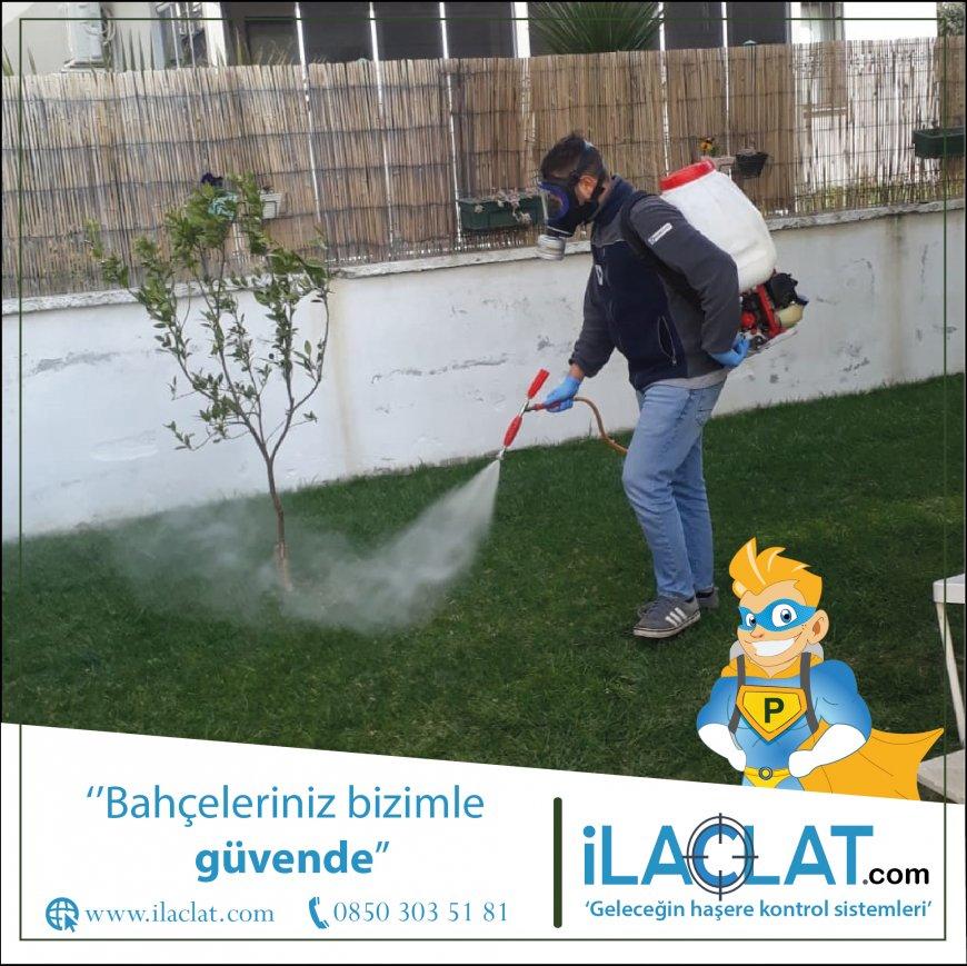 Böcekleri Hayatınızın Parçası Olmasın