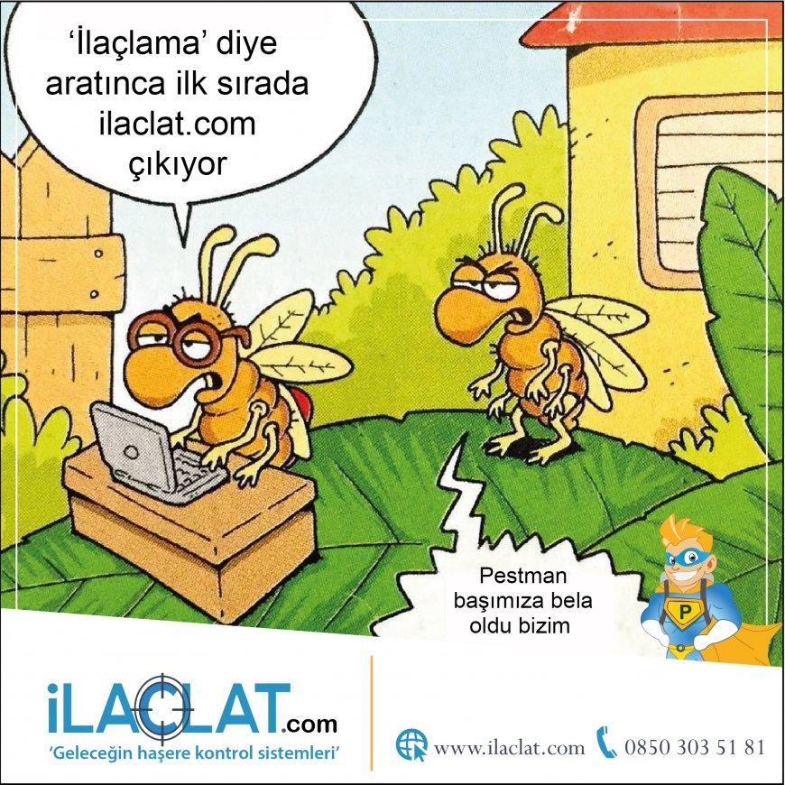 Doğru İlaçlama Nasıl Yapılır?