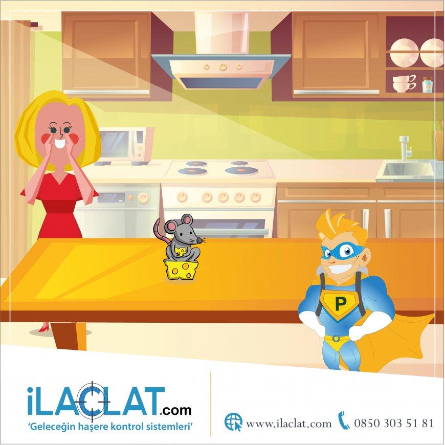 Sıcak Günlerde Haşerelere Son