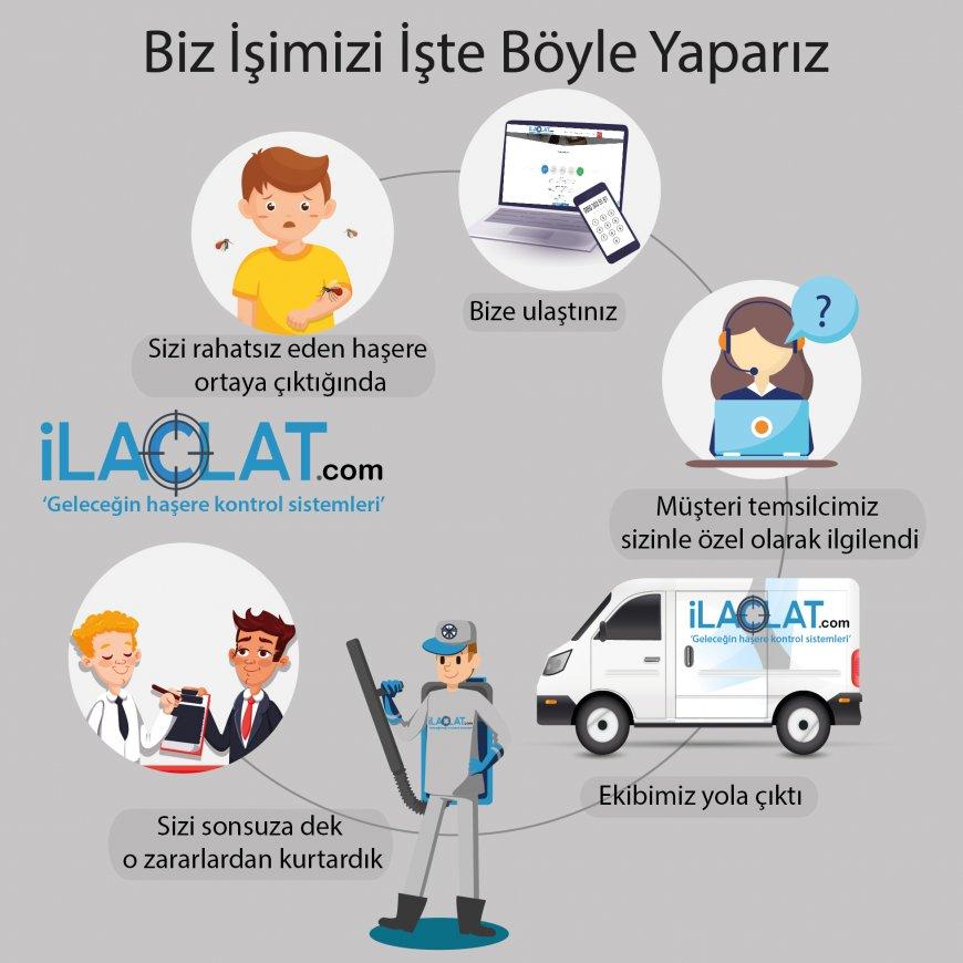 Haşereler Sağlığımıza Nasıl Zarar Verir?